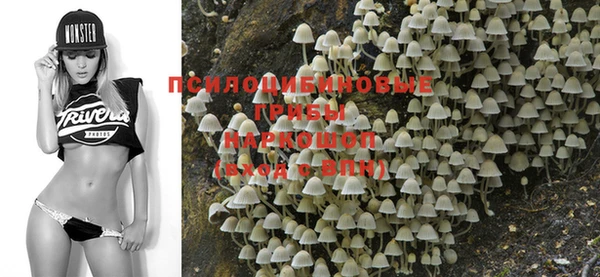 бошки Алзамай