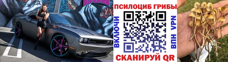 Галлюциногенные грибы MAGIC MUSHROOMS  магазин продажи   Кочубеевское 